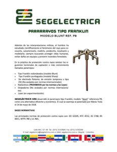Ingeniería de gestión del riesgo, Protección contra rayos y puestas a ...
